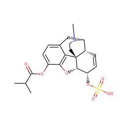 CC(C)C(=O)Oc1ccc2c3c1O[C@H]1[C@@H](OS(=O)(=O)O)C=C[C@H]4[C@@H](C2)N(C)CC[C@]314 ZINC000036221937