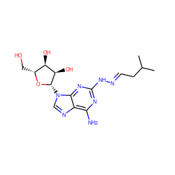 CC(C)C/C=N/Nc1nc(N)c2ncn([C@@H]3O[C@H](CO)[C@@H](O)[C@H]3O)c2n1 ZINC000012405481