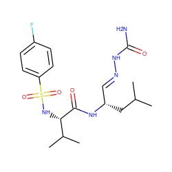 CC(C)C[C@@H](/C=N/NC(N)=O)NC(=O)[C@@H](NS(=O)(=O)c1ccc(F)cc1)C(C)C ZINC000013442646