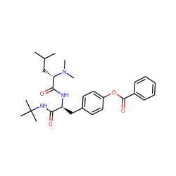 CC(C)C[C@@H](C(=O)N[C@@H](Cc1ccc(OC(=O)c2ccccc2)cc1)C(=O)NC(C)(C)C)N(C)C ZINC000028007036