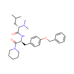 CC(C)C[C@@H](C(=O)N[C@@H](Cc1ccc(OCc2ccccc2)cc1)C(=O)N1CCCCC1)N(C)C ZINC000029476310