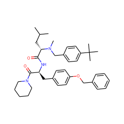 CC(C)C[C@@H](C(=O)N[C@@H](Cc1ccc(OCc2ccccc2)cc1)C(=O)N1CCCCC1)N(C)Cc1ccc(C(C)(C)C)cc1 ZINC000003941151