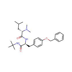 CC(C)C[C@@H](C(=O)N[C@@H](Cc1ccc(OCc2ccccc2)cc1)C(=O)NC(C)(C)C)N(C)C ZINC000029488270