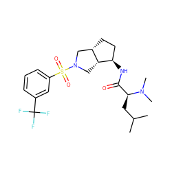 CC(C)C[C@@H](C(=O)N[C@@H]1CC[C@H]2CN(S(=O)(=O)c3cccc(C(F)(F)F)c3)C[C@H]21)N(C)C ZINC000096921265