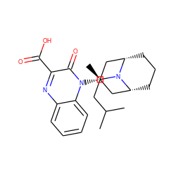 CC(C)C[C@@H](C)N1[C@H]2CCC[C@@H]1C[C@H](n1c(=O)c(C(=O)O)nc3ccccc31)C2 ZINC000114765032