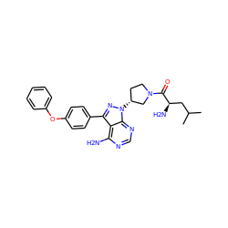 CC(C)C[C@@H](N)C(=O)N1CC[C@@H](n2nc(-c3ccc(Oc4ccccc4)cc3)c3c(N)ncnc32)C1 ZINC000653783749