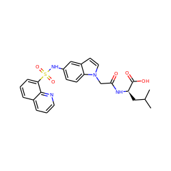 CC(C)C[C@@H](NC(=O)Cn1ccc2cc(NS(=O)(=O)c3cccc4cccnc34)ccc21)C(=O)O ZINC000040974808