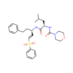 CC(C)C[C@@H](NC(=O)N1CCOCC1)C(=O)N[C@@H](/C=C/S(=O)(=O)c1ccccc1)CCc1ccccc1 ZINC000012503958