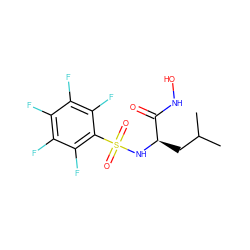 CC(C)C[C@@H](NS(=O)(=O)c1c(F)c(F)c(F)c(F)c1F)C(=O)NO ZINC000010450321