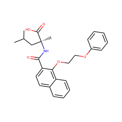 CC(C)C[C@](C)(NC(=O)c1ccc2ccccc2c1OCCOc1ccccc1)C(=O)O ZINC000096170065