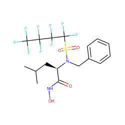 CC(C)C[C@H](C(=O)NO)N(Cc1ccccc1)S(=O)(=O)C(F)(F)C(F)(F)C(F)(F)C(F)(F)F ZINC000010450227