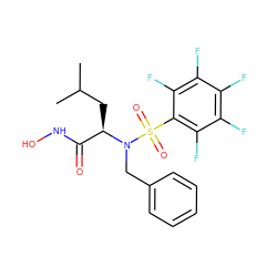 CC(C)C[C@H](C(=O)NO)N(Cc1ccccc1)S(=O)(=O)c1c(F)c(F)c(F)c(F)c1F ZINC000010450206