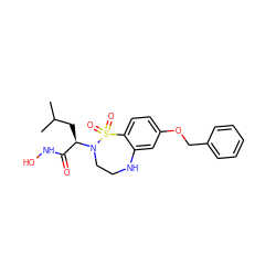 CC(C)C[C@H](C(=O)NO)N1CCNc2cc(OCc3ccccc3)ccc2S1(=O)=O ZINC000013518153