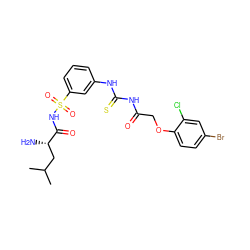 CC(C)C[C@H](N)C(=O)NS(=O)(=O)c1cccc(NC(=S)NC(=O)COc2ccc(Br)cc2Cl)c1 ZINC000205885345