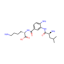 CC(C)C[C@H](N)C(=O)Nc1cc(C(=O)N[C@@H](CCCCN)C(=O)O)ccc1N ZINC000299863945