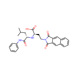 CC(C)C[C@H](N[C@H](CCN1C(=O)c2cc3ccccc3cc2C1=O)C(=O)O)C(=O)Nc1ccccc1 ZINC000013734710