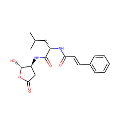 CC(C)C[C@H](NC(=O)/C=C/c1ccccc1)C(=O)N[C@H]1CC(=O)O[C@@H]1O ZINC000026746068