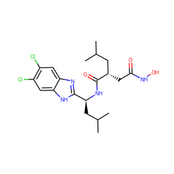 CC(C)C[C@H](NC(=O)[C@@H](CC(=O)NO)CC(C)C)c1nc2cc(Cl)c(Cl)cc2[nH]1 ZINC000029389175