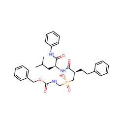 CC(C)C[C@H](NC(=O)[C@@H](CCc1ccccc1)C[P@](=O)(O)CNC(=O)OCc1ccccc1)C(=O)Nc1ccccc1 ZINC000028230944