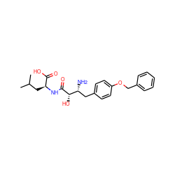 CC(C)C[C@H](NC(=O)[C@@H](O)[C@H](N)Cc1ccc(OCc2ccccc2)cc1)C(=O)O ZINC000064744337