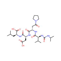 CC(C)C[C@H](NC(=O)[C@H](CC(=O)O)NC(=O)[C@H](CC(=O)N1CCCC1)NC(=O)[C@@H](NC(=O)NC(C)C)C(C)C)C(=O)O ZINC000026289508