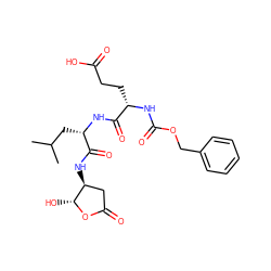 CC(C)C[C@H](NC(=O)[C@H](CCC(=O)O)NC(=O)OCc1ccccc1)C(=O)N[C@H]1CC(=O)O[C@@H]1O ZINC000013819023