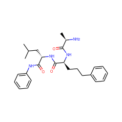 CC(C)C[C@H](NC(=O)[C@H](CCCc1ccccc1)NC(=O)[C@@H](C)N)C(=O)Nc1ccccc1 ZINC000027428669