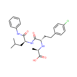 CC(C)C[C@H](NC(=O)[C@H](CCc1ccc(Cl)cc1)N[C@H](C)C(=O)O)C(=O)Nc1ccccc1 ZINC000026485001