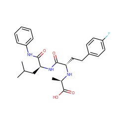 CC(C)C[C@H](NC(=O)[C@H](CCc1ccc(F)cc1)N[C@H](C)C(=O)O)C(=O)Nc1ccccc1 ZINC000026490119