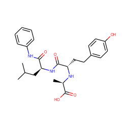 CC(C)C[C@H](NC(=O)[C@H](CCc1ccc(O)cc1)N[C@H](C)C(=O)O)C(=O)Nc1ccccc1 ZINC000026490175