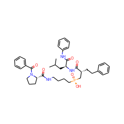 CC(C)C[C@H](NC(=O)[C@H](CCc1ccccc1)C[P@](=O)(O)CCCCNC(=O)[C@@H]1CCCN1C(=O)c1ccccc1)C(=O)Nc1ccccc1 ZINC000026985881
