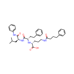 CC(C)C[C@H](NC(=O)[C@H](CCc1ccccc1)N[C@H](CCCNC(=O)CCCc1ccccc1)C(=O)O)C(=O)Nc1ccccc1 ZINC000026983370