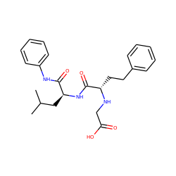 CC(C)C[C@H](NC(=O)[C@H](CCc1ccccc1)NCC(=O)O)C(=O)Nc1ccccc1 ZINC000027889046