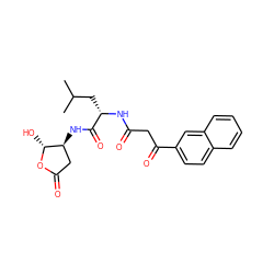 CC(C)C[C@H](NC(=O)CC(=O)c1ccc2ccccc2c1)C(=O)N[C@H]1CC(=O)O[C@@H]1O ZINC000026752314