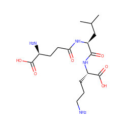 CC(C)C[C@H](NC(=O)CC[C@H](N)C(=O)O)C(=O)N[C@@H](CCCN)C(=O)O ZINC000013648972