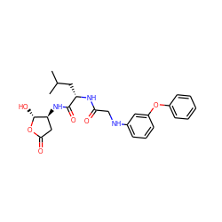 CC(C)C[C@H](NC(=O)CNc1cccc(Oc2ccccc2)c1)C(=O)N[C@H]1CC(=O)O[C@@H]1O ZINC000013819351