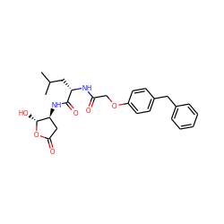 CC(C)C[C@H](NC(=O)COc1ccc(Cc2ccccc2)cc1)C(=O)N[C@H]1CC(=O)O[C@@H]1O ZINC000013819228