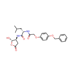 CC(C)C[C@H](NC(=O)COc1ccc(OCc2ccccc2)cc1)C(=O)N[C@H]1CC(=O)O[C@@H]1O ZINC000013819245