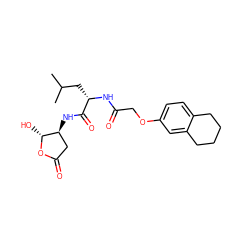 CC(C)C[C@H](NC(=O)COc1ccc2c(c1)CCCC2)C(=O)N[C@H]1CC(=O)O[C@@H]1O ZINC000013819277