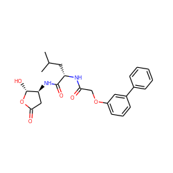 CC(C)C[C@H](NC(=O)COc1cccc(-c2ccccc2)c1)C(=O)N[C@H]1CC(=O)O[C@@H]1O ZINC000013819211