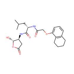 CC(C)C[C@H](NC(=O)COc1cccc2c1CCCC2)C(=O)N[C@H]1CC(=O)O[C@@H]1O ZINC000013819273