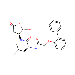 CC(C)C[C@H](NC(=O)COc1ccccc1-c1ccccc1)C(=O)N[C@H]1CC(=O)O[C@@H]1O ZINC000013819205