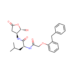 CC(C)C[C@H](NC(=O)COc1ccccc1Cc1ccccc1)C(=O)N[C@H]1CC(=O)O[C@@H]1O ZINC000013819223