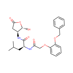 CC(C)C[C@H](NC(=O)COc1ccccc1OCc1ccccc1)C(=O)N[C@H]1CC(=O)O[C@@H]1O ZINC000013819239