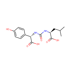 CC(C)C[C@H](NC(=O)N[C@H](C(=O)O)c1ccc(O)cc1)C(=O)O ZINC000045348901