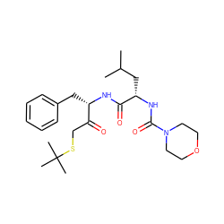 CC(C)C[C@H](NC(=O)N1CCOCC1)C(=O)N[C@@H](Cc1ccccc1)C(=O)CSC(C)(C)C ZINC000013472279