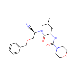 CC(C)C[C@H](NC(=O)N1CCOCC1)C(=O)N[C@H](C#N)COCc1ccccc1 ZINC000006616189