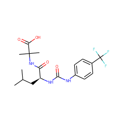 CC(C)C[C@H](NC(=O)Nc1ccc(C(F)(F)F)cc1)C(=O)NC(C)(C)C(=O)O ZINC000096916943