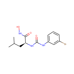 CC(C)C[C@H](NC(=O)Nc1cccc(Br)c1)C(=O)NO ZINC000095592164