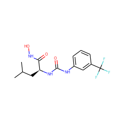 CC(C)C[C@H](NC(=O)Nc1cccc(C(F)(F)F)c1)C(=O)NO ZINC000095586165